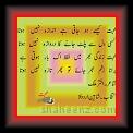 mohabbat kesay ho 01 * 15.06.2007 * 408 x 333 * (21KB)
